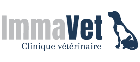 IMMAVET clinique vétérinaire - Logo