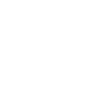 immavet-icon-cardiologie-01.png
